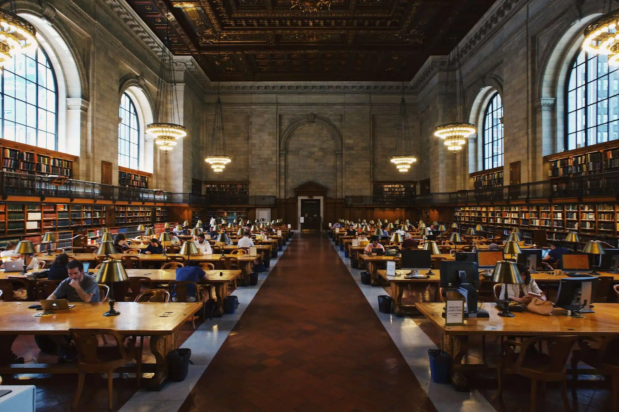 Students in a library studying